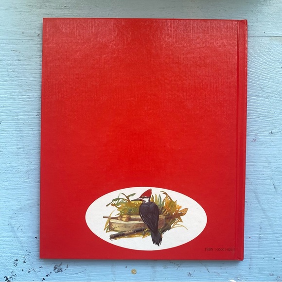 Great Tales from Long Ago: Hiawatha Book - Picture 6 of 6